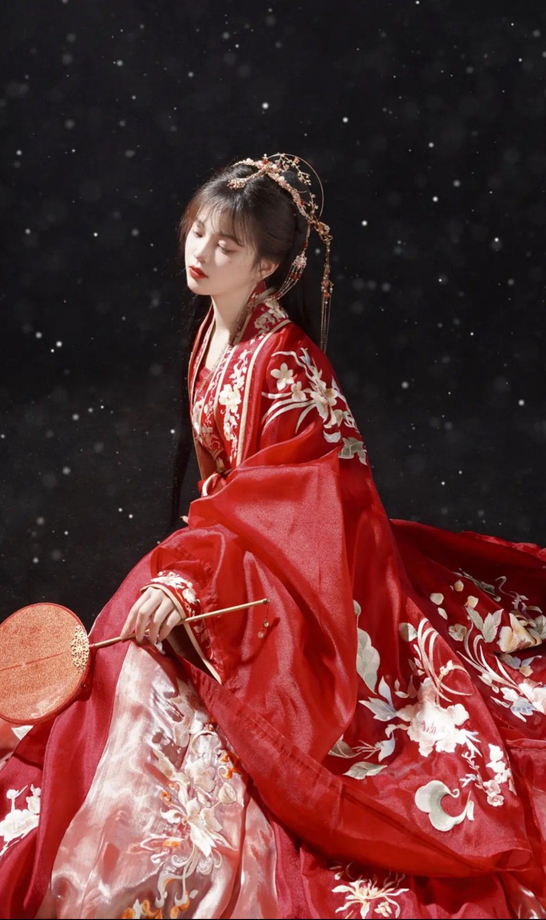 Chinese Traditional Costume for Women:Winter Adult Ancient Style Clothes