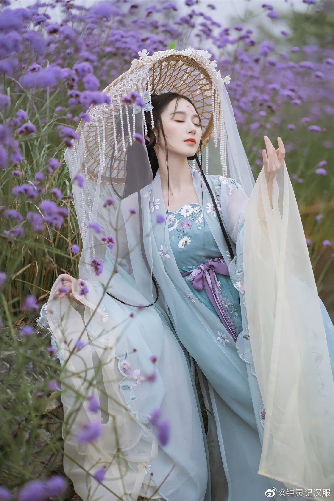 The Splendor of Ming-Style Hanfu:A Red上衣的 Cultural Journey The Splendor of Ming-Style Hanfu:A Red上衣的 Cultural Journey