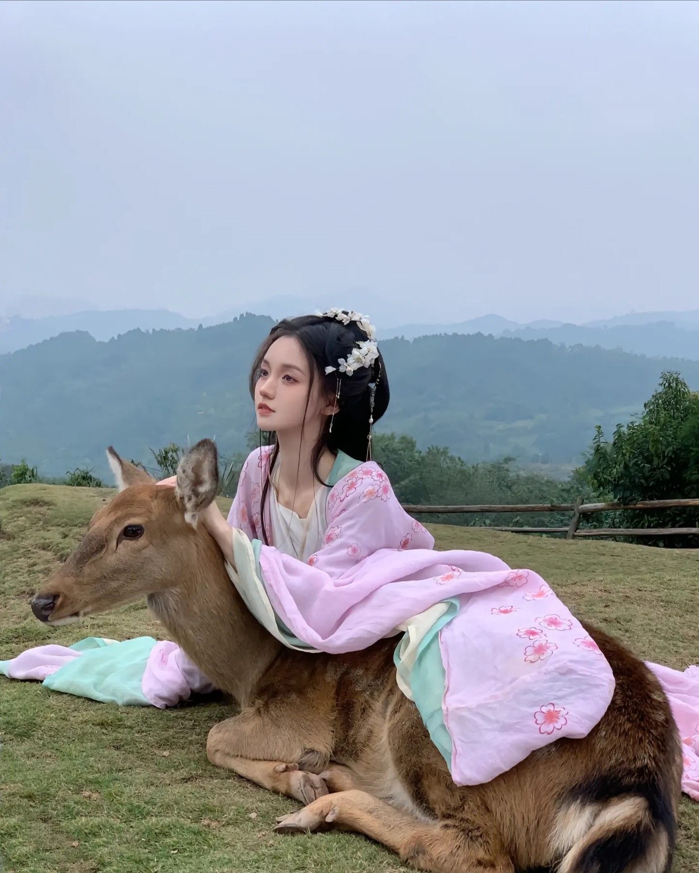 Vintage Cheongsam of the Republic Era:Old Shanghais Glamorous Allure