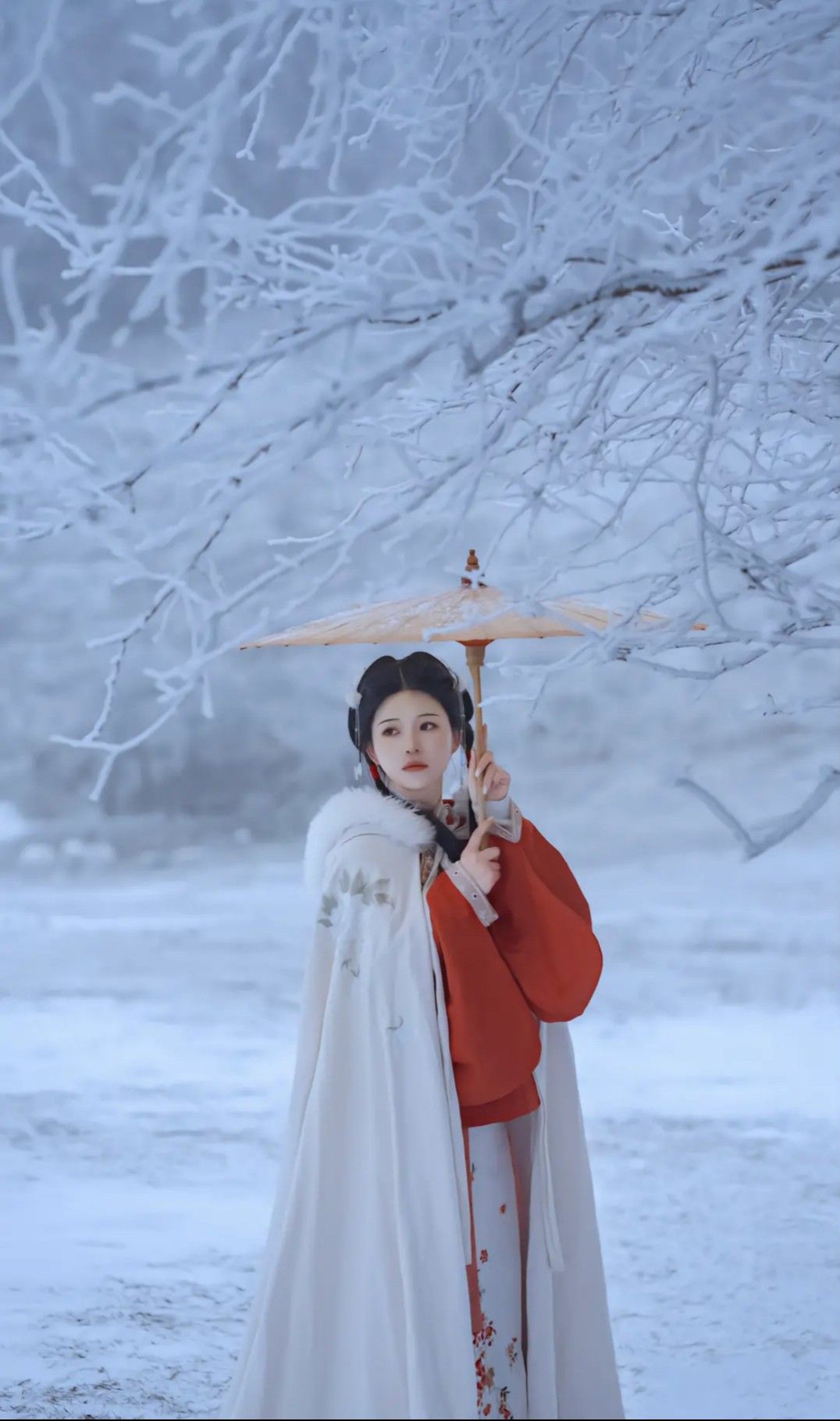 Reinventing Traditional Elegance:The Evolution of Hanfu-Inspired Modified Dress Reinventing Traditional Elegance:The Evolution of Hanfu-Inspired Modified Dress