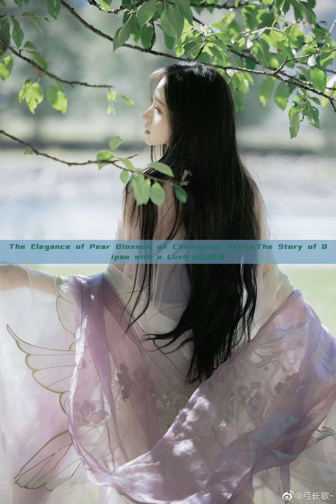 The Elegance of Pear Blossom on Cheongsam Skirts:The Story of Qipao with a Lush of梨花落