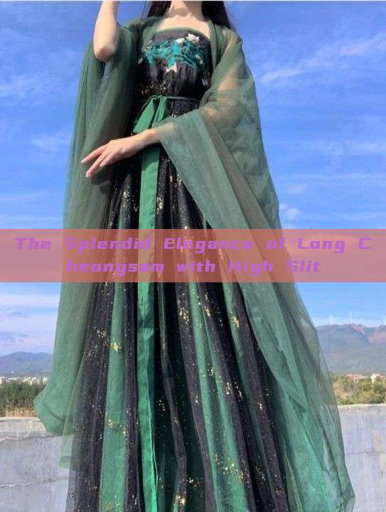 The Splendid Elegance of Long Cheongsam with High Slit The Splendid Elegance of Long Cheongsam with High Slit