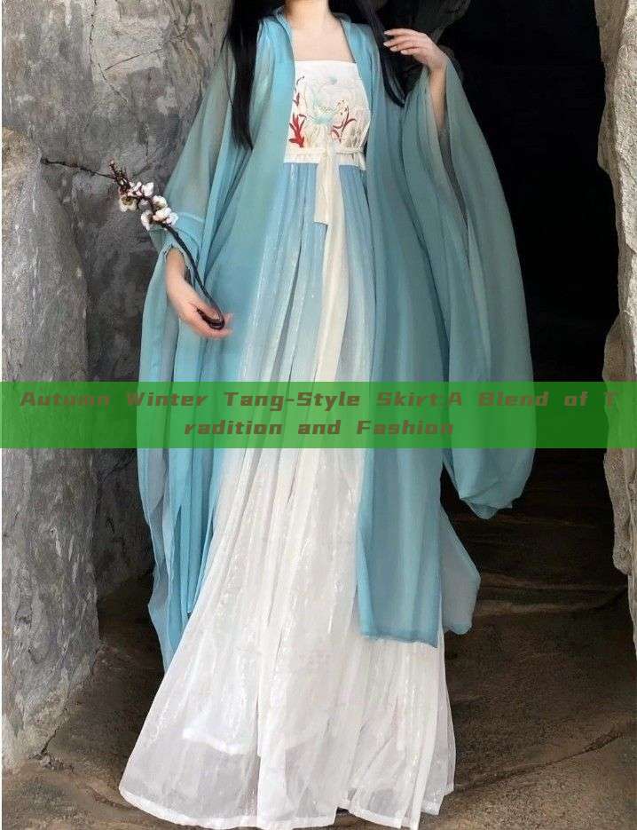 Autumn Winter Tang-Style Skirt:A Blend of Tradition and Fashion