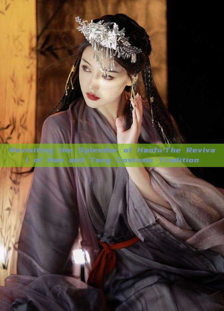 Revisiting the Splendor of Hanfu:The Revival of Han and Tang Costume Tradition Revisiting the Splendor of Hanfu:The Revival of Han and Tang Costume Tradition
