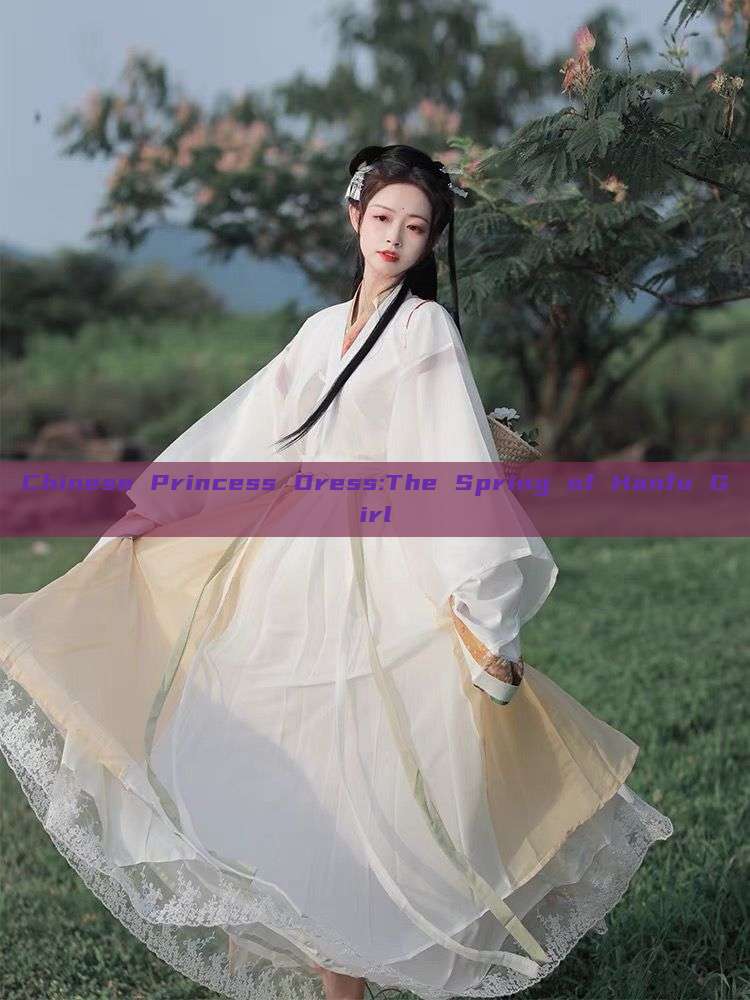 Chinese Princess Dress:The Spring of Hanfu Girl Chinese Princess Dress:The Spring of Hanfu Girl