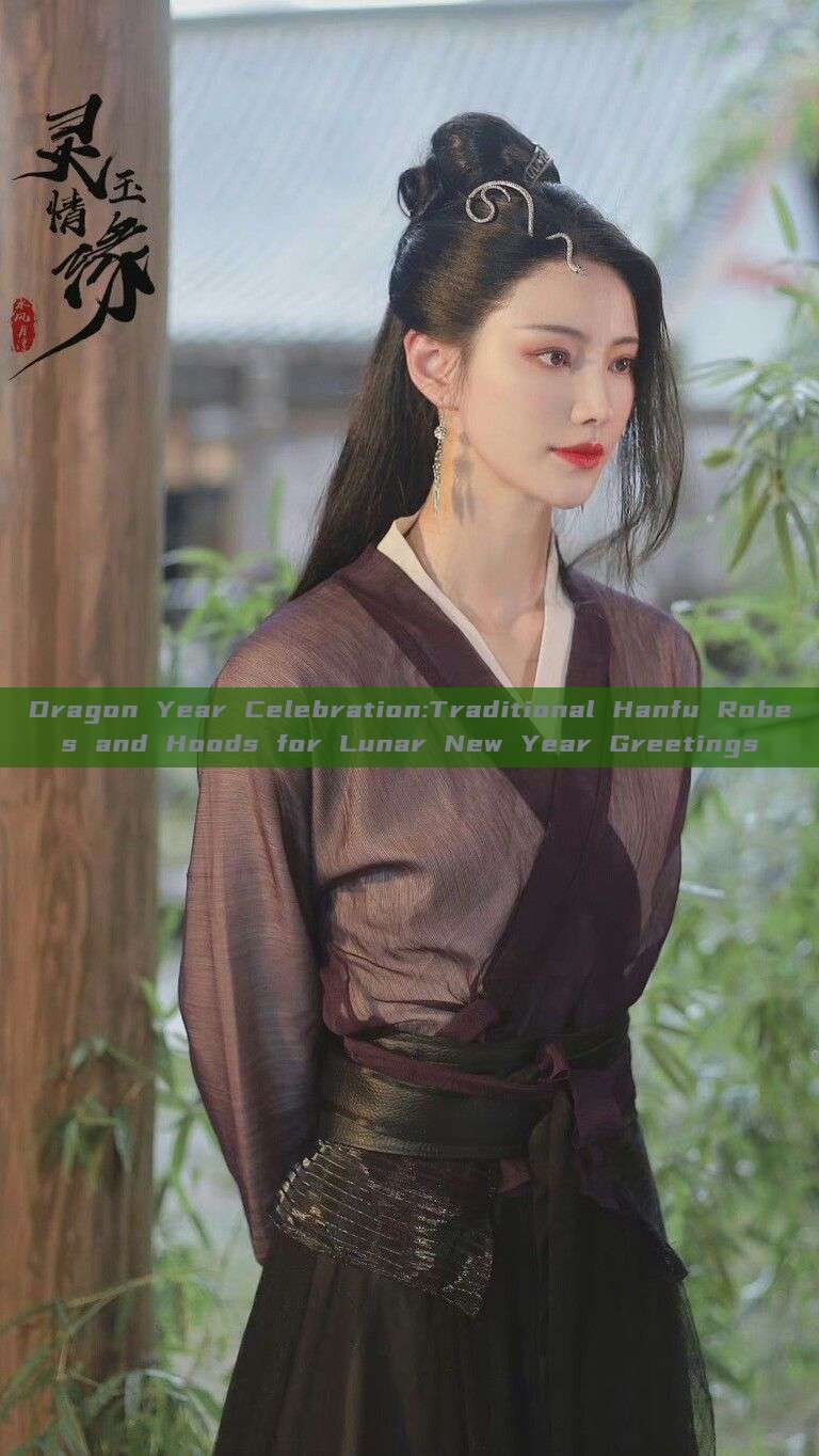Dragon Year Celebration:Traditional Hanfu Robes and Hoods for Lunar New Year Greetings Dragon Year Celebration:Traditional Hanfu Robes and Hoods for Lunar New Year Greetings