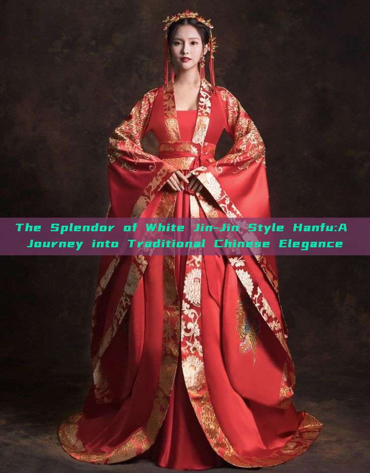 The Splendor of White Jin-Jin Style Hanfu:A Journey into Traditional Chinese Elegance The Splendor of White Jin-Jin Style Hanfu:A Journey into Traditional Chinese Elegance