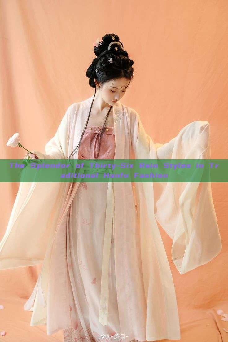 The Splendor of Thirty-Six Rain Styles in Traditional Hanfu Fashion The Splendor of Thirty-Six Rain Styles in Traditional Hanfu Fashion