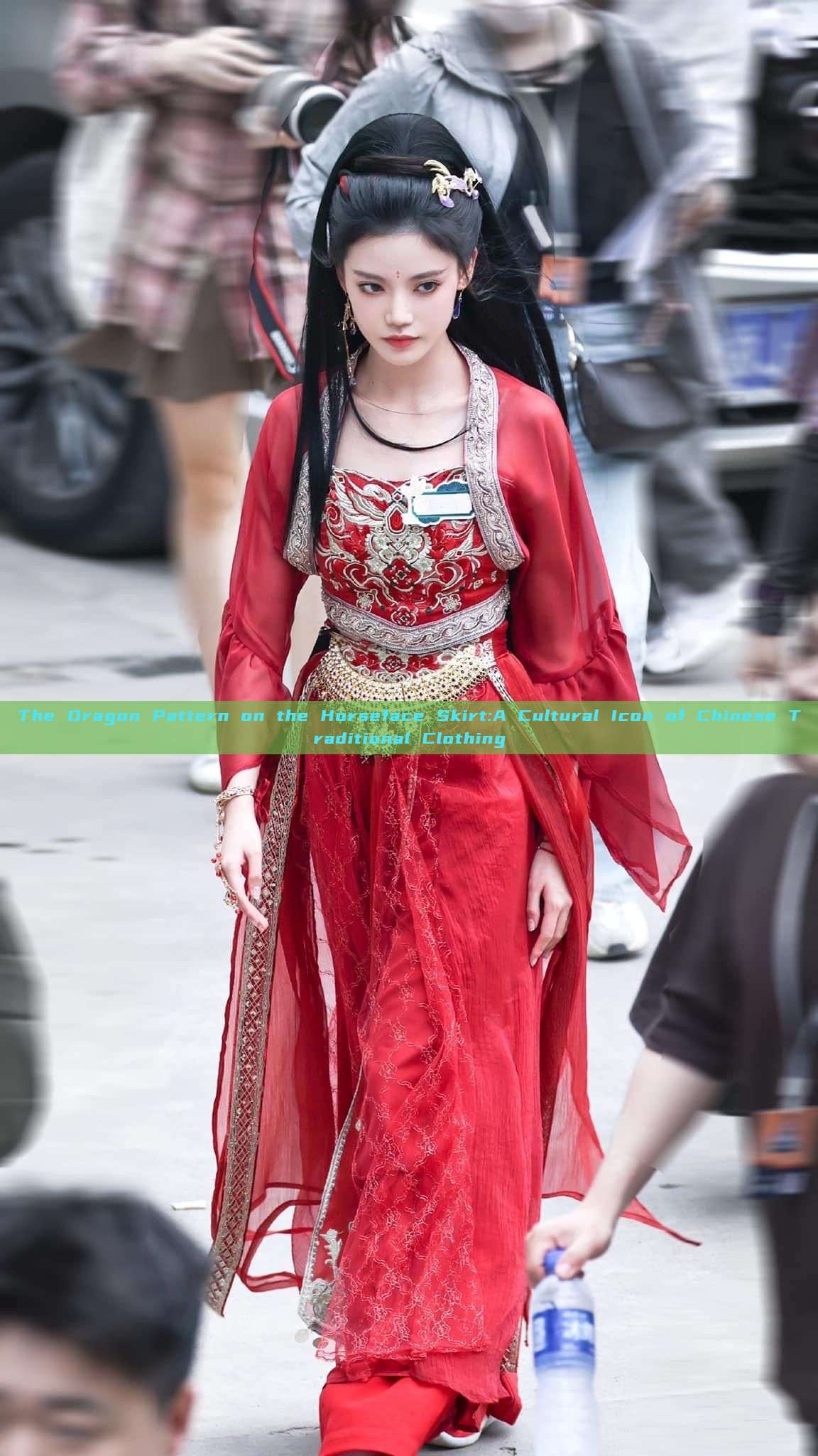 The Dragon Pattern on the Horseface Skirt:A Cultural Icon of Chinese Traditional Clothing The Dragon Pattern on the Horseface Skirt:A Cultural Icon of Chinese Traditional Clothing