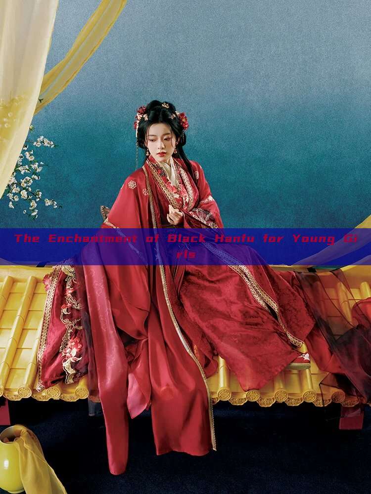 The Enchantment of Black Hanfu for Young Girls The Enchantment of Black Hanfu for Young Girls