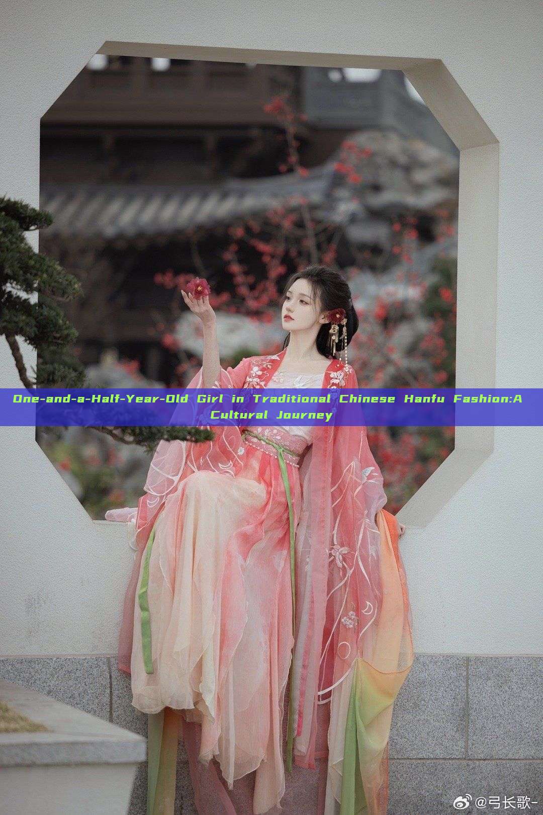 One-and-a-Half-Year-Old Girl in Traditional Chinese Hanfu Fashion:A Cultural Journey One-and-a-Half-Year-Old Girl in Traditional Chinese Hanfu Fashion:A Cultural Journey
