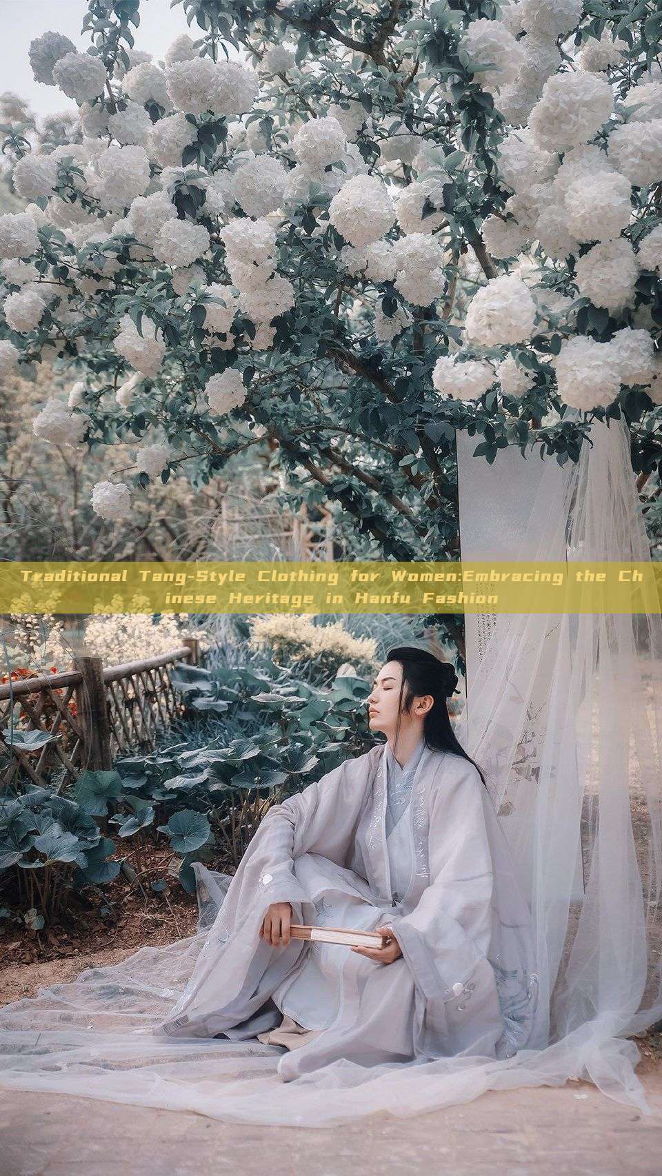 Traditional Tang-Style Clothing for Women:Embracing the Chinese Heritage in Hanfu Fashion Traditional Tang-Style Clothing for Women:Embracing the Chinese Heritage in Hanfu Fashion