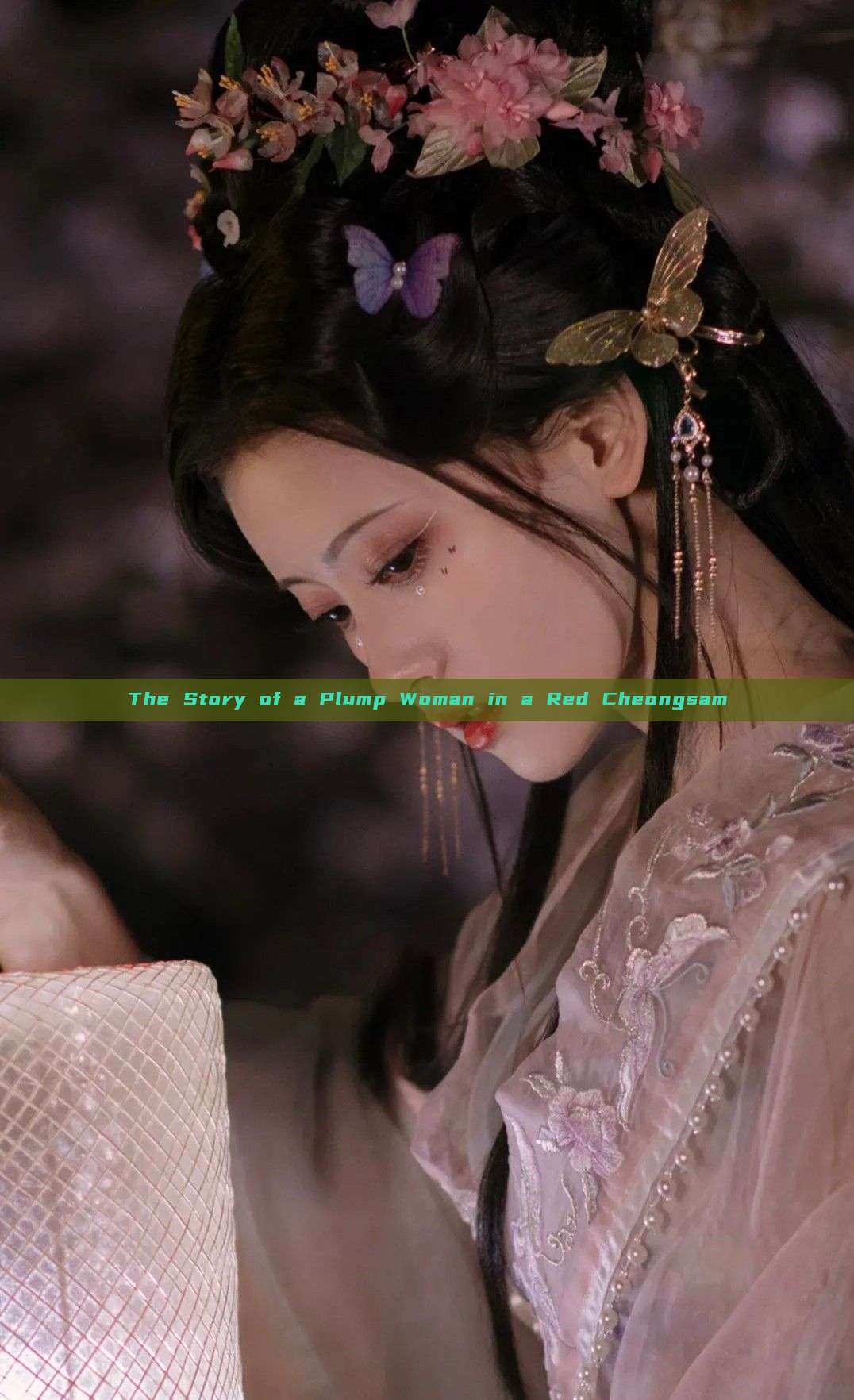 The Story of a Plump Woman in a Red Cheongsam The Story of a Plump Woman in a Red Cheongsam