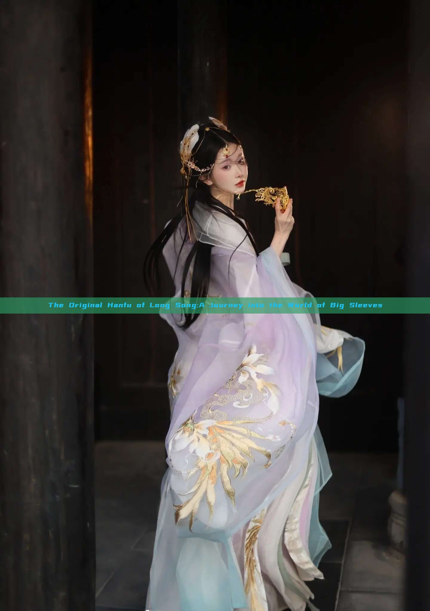 The Original Hanfu of Long Song:A Journey into the World of Big Sleeves The Original Hanfu of Long Song:A Journey into the World of Big Sleeves