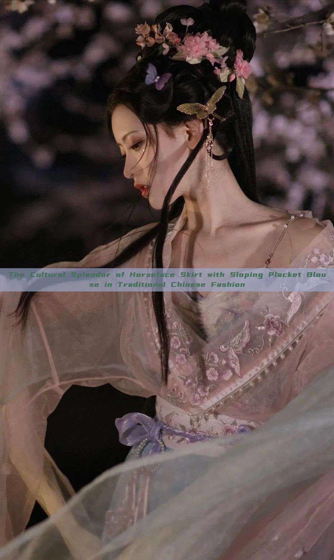 The Cultural Splendor of Horseface Skirt with Sloping Placket Blouse in Traditional Chinese Fashion