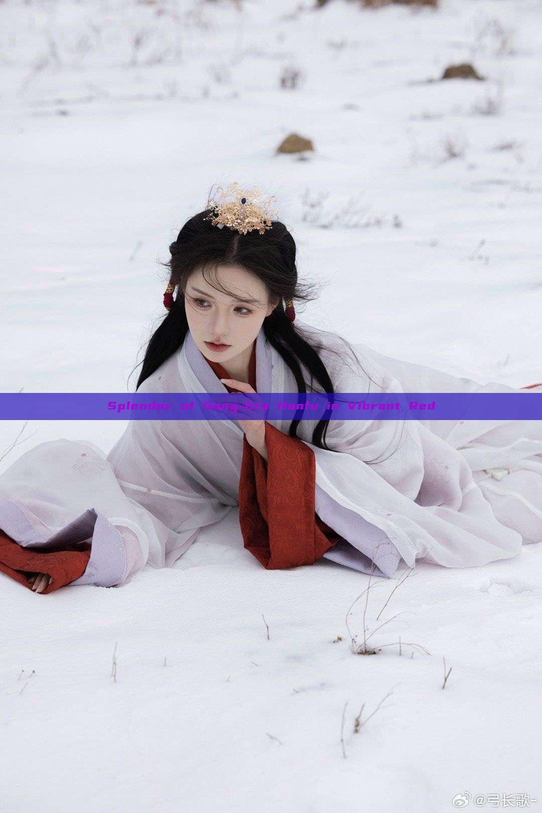 Splendor of Song-Era Hanfu in Vibrant Red Splendor of Song-Era Hanfu in Vibrant Red
