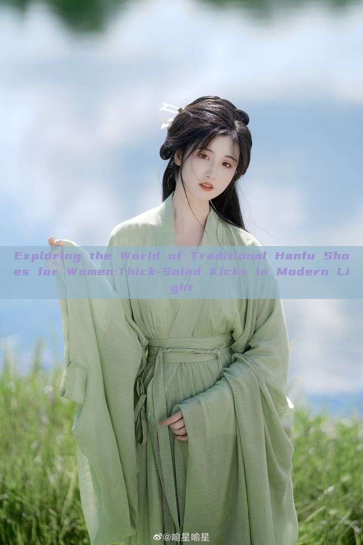Exploring the World of Traditional Hanfu Shoes for Women:Thick-Soled Kicks in Modern Light Exploring the World of Traditional Hanfu Shoes for Women:Thick-Soled Kicks in Modern Light
