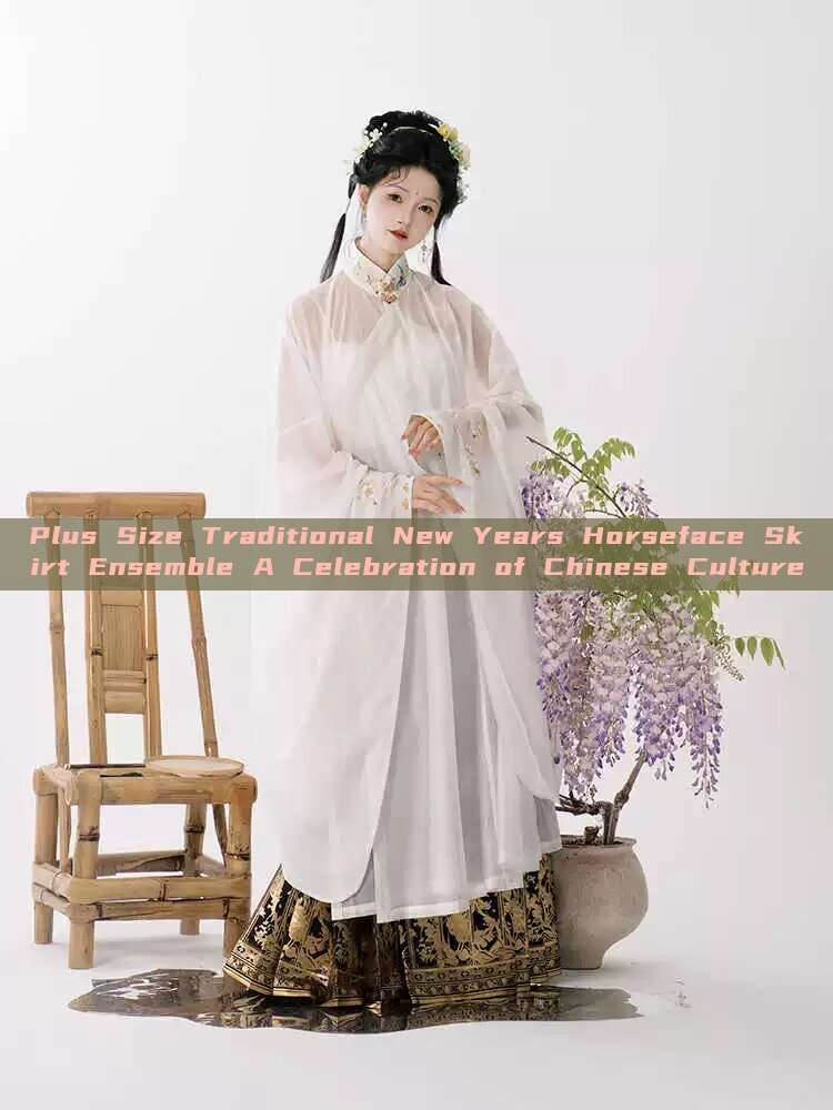 Plus Size Traditional New Years Horseface Skirt Ensemble A Celebration of Chinese Culture Plus Size Traditional New Years Horseface Skirt Ensemble A Celebration of Chinese Culture