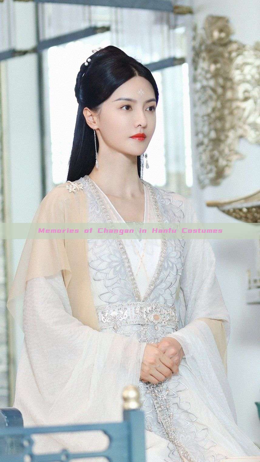Memories of Changan in Hanfu Costumes Memories of Changan in Hanfu Costumes