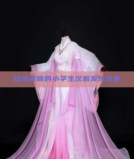 仙风道骨的小学生汉服发饰全套 仙风道骨的小学生汉服发饰全套
